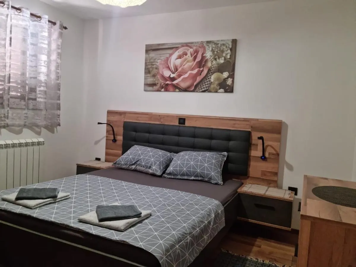 Apartment Markovic Vizinada 0*,
